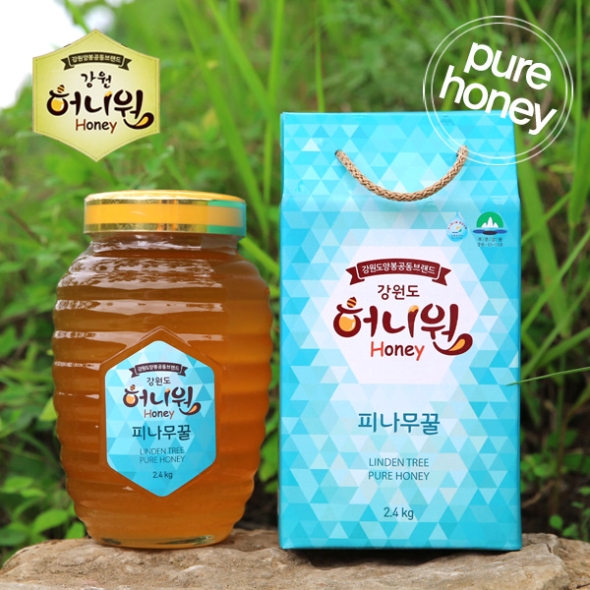 [허니원] 피나무벌꿀 2.4kg(PET)