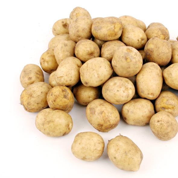 [농협공판장] 보석 하우스 햇 수미감자 3kg/5kg/10kg(조림용/60g이하)