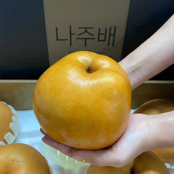 [명절캄스] 나주 배 선물세트 5kg 7.5kg