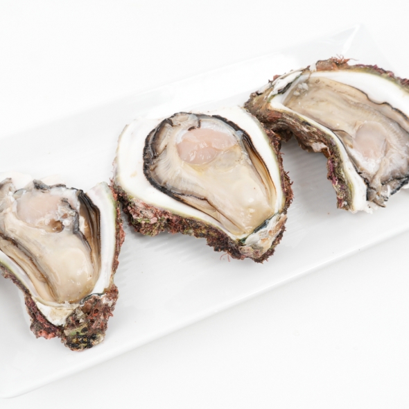 [신한카드 할인] 자연산 손질 바위굴 벚굴 2kg 3kg 