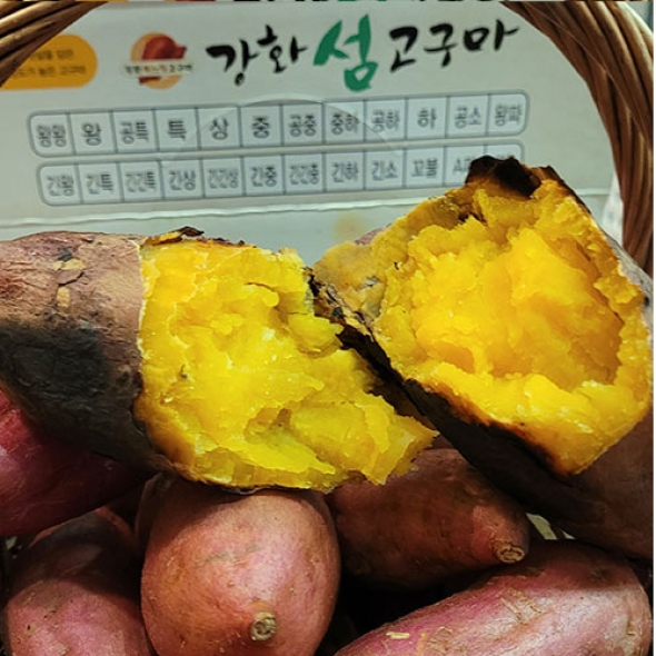 [보름데이] 강화섬 속 노랑고구마 5kg(중간급 혼합)