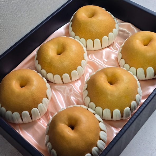 [선물세트] 산지직송  나주배 선물세트