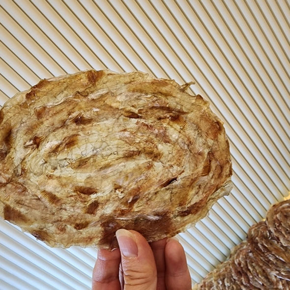 [웅이네] 두툼쥐포 1kg 500g 300g