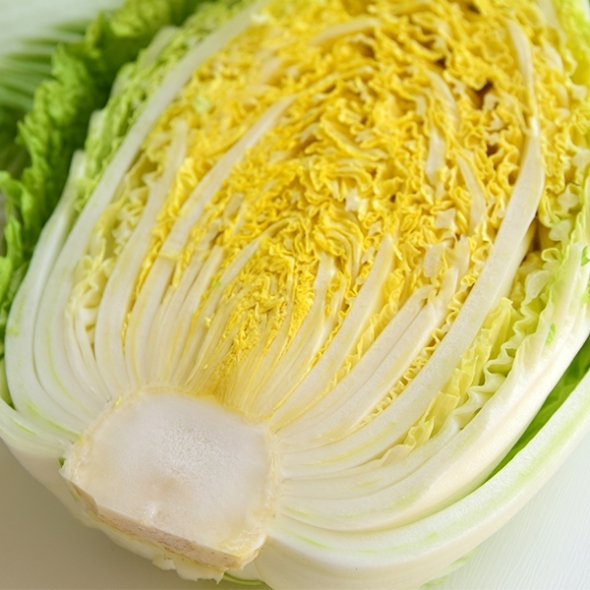 [보름데이] 김장최고 꽉찬 통배추 2.5kg 1통 2통 오커