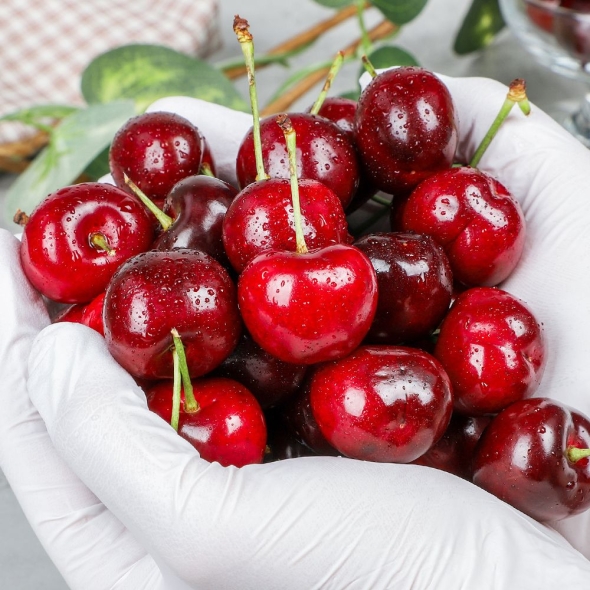 [보름데이] 심심상인 항공직송 칠레 생 체리(특대과/9.5row) 500g/1kg/2kg