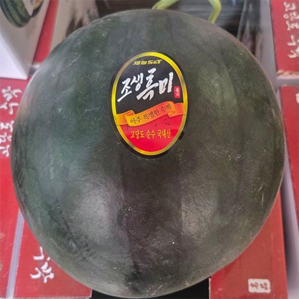 고당도 프리미엄 흑수박(푸)