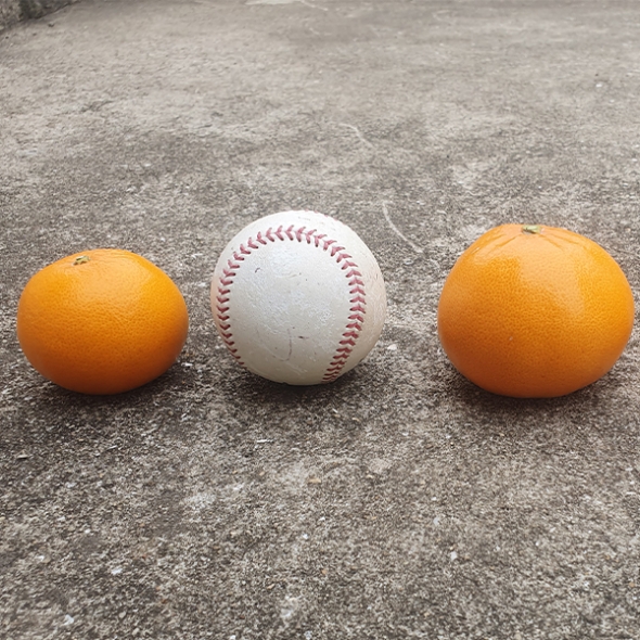 [보름데이] 프리미엄 고당도 천혜향(푸)