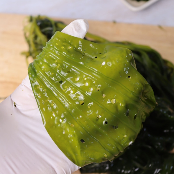 [오커브팜] 구멍 슝 곰피 미역 1kg 2kg 3kg