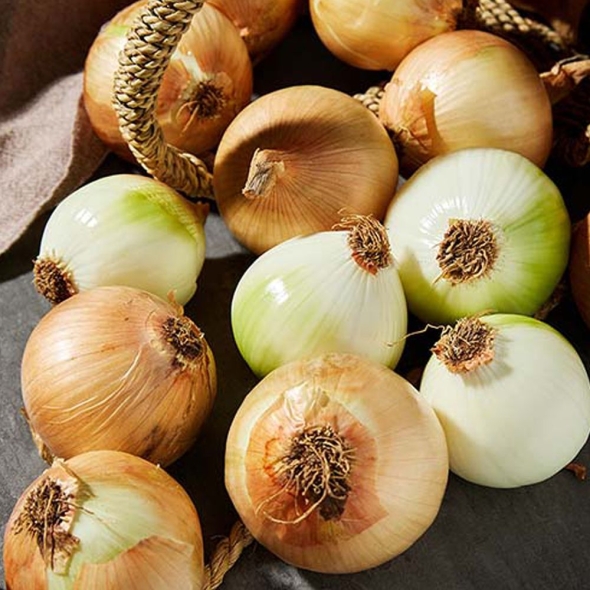 [특별할인][흙이음] 국내산 단단한 양파 10kg