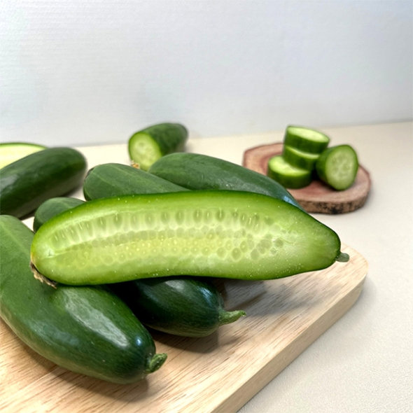 국내산 미니오이(푸)