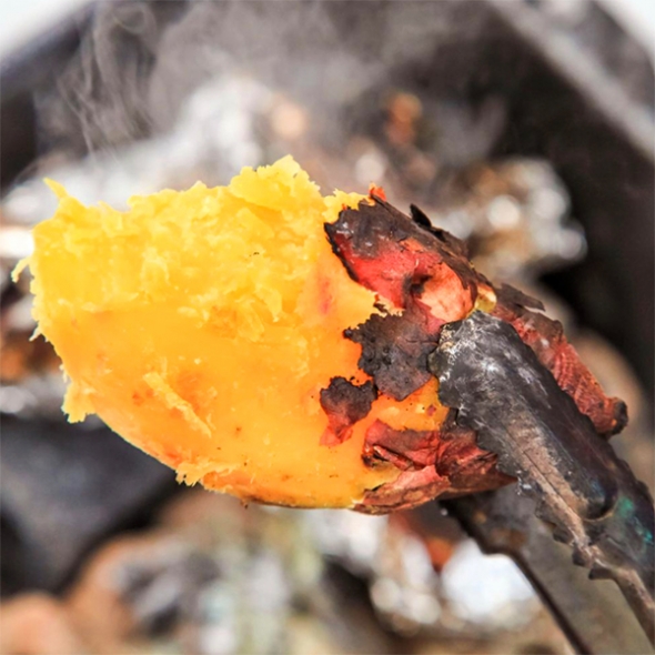 명품해남 꿀밤고구마(푸)