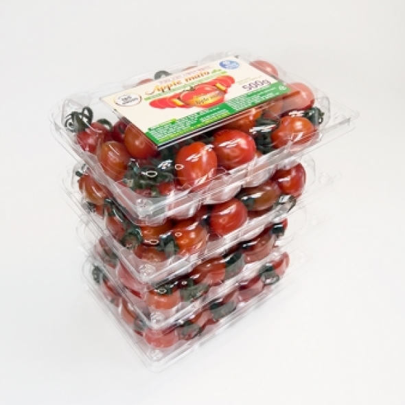 스테비아 케이마토 아삭하고 달콤한 대추 방울토마토 1kg (500g*2팩) 2kg 3kg