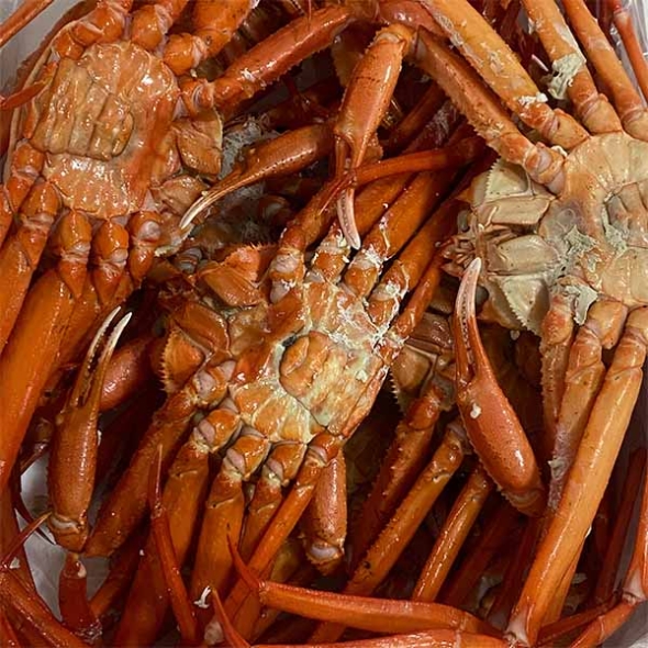 [제휴B] 자숙홍게(최)