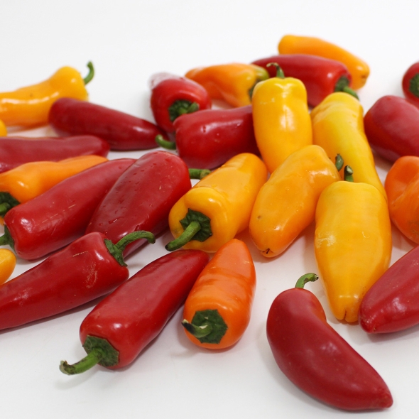 홍성 엄마농부의 유기농 삼색 미니파프리카 1kg (무선별) [26년산] 당일수확 파프리카