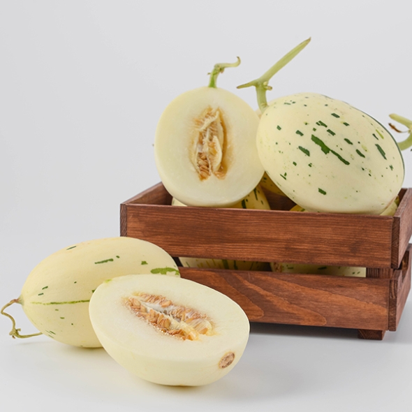 [오커최고] 백자 메론 달콤 멜론 2kg 4kg