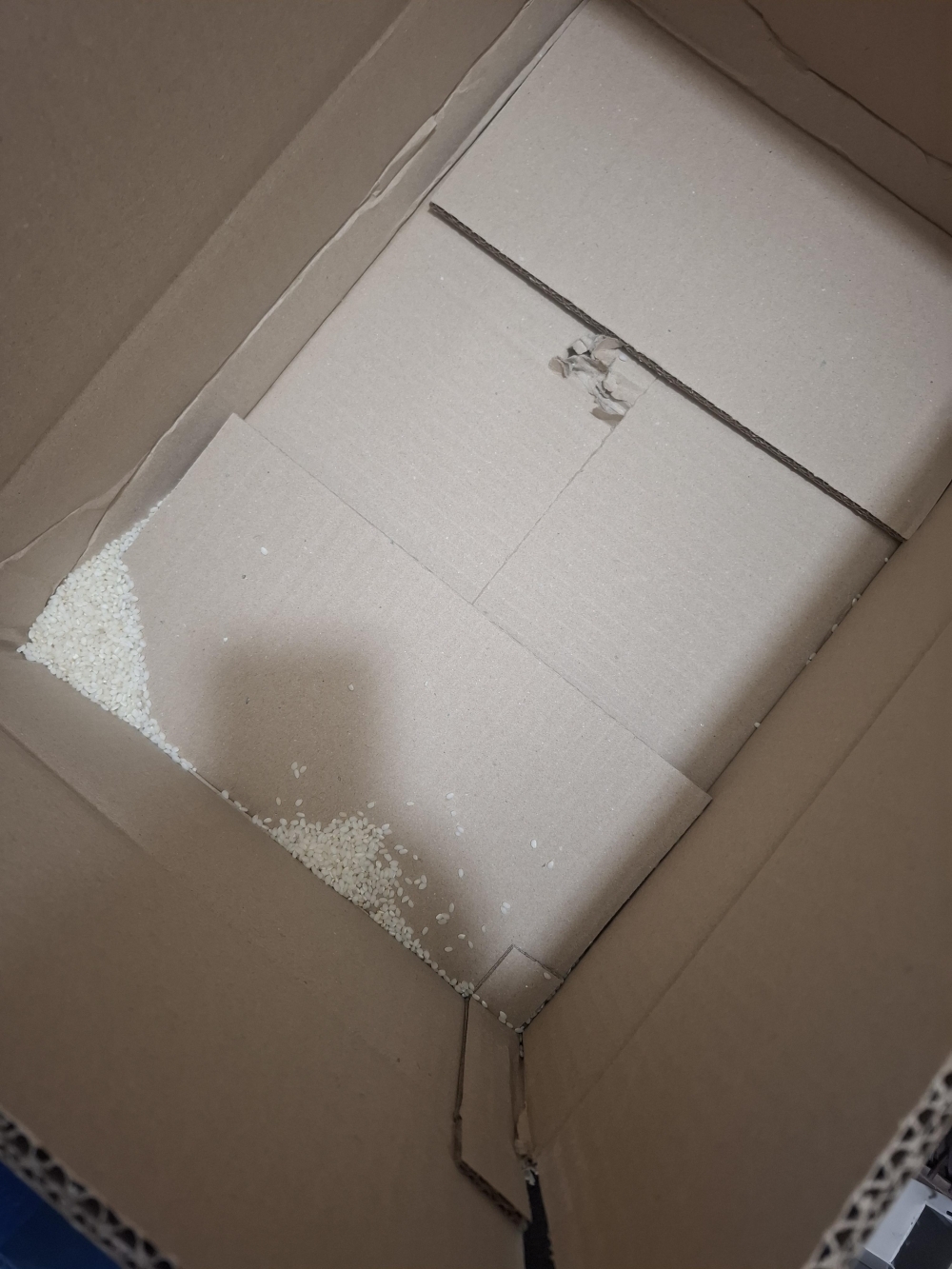 경기미 백진주쌀10kg/20kg(상) 25년미곡