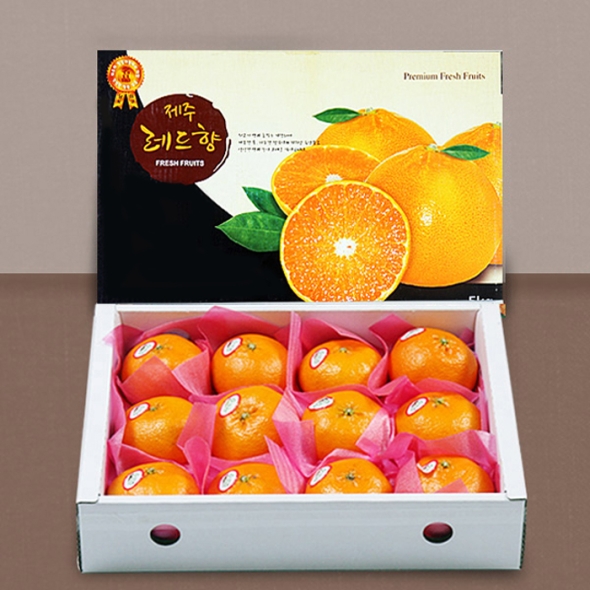 [푸토리] 새해 복 담은 제주마을 레드향 세트 3kg / 5kg