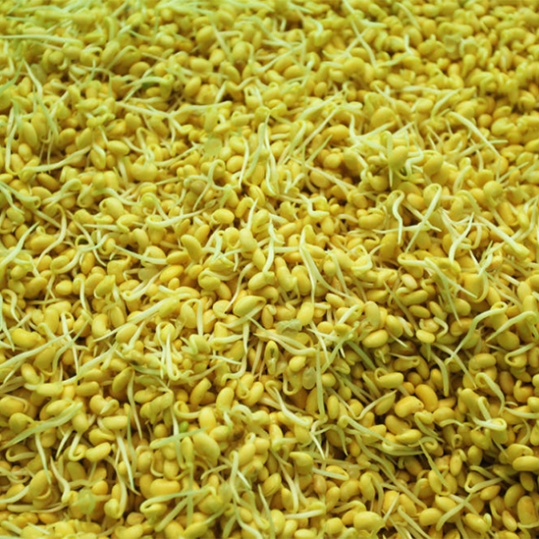 [신한카드 할인] 친환경 국산콩 콩나물