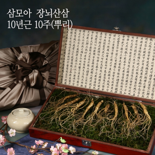 [삼모아] 산양산삼 10년근 3/5/7/10뿌리(프리미엄세트)/고가구목함+실크보자기