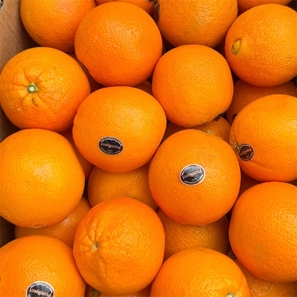 [보름데이] 퓨어스펙  블랙라벨  오렌지(푸)