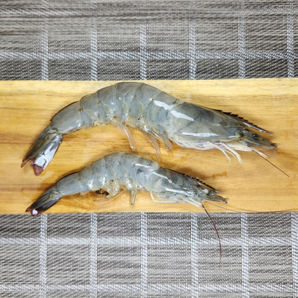 [오커캄스] 흰다리 새우 활새우 500g 1kg