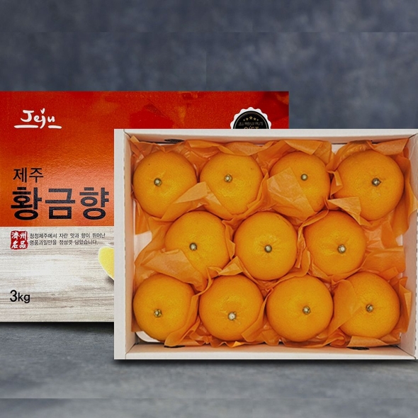 [황금향 선물세트] 제주 산지직송  고당도  황금향   3k(11~16과)