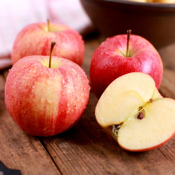 [보름데이] 베네팜 청송 꿀부사 사과 2kg/3kg/5kg (정품)