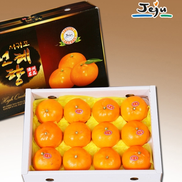 [푸토리] 새콤달콤 제주명품 자연애 천혜향 3kg