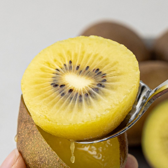 [백억] 황금빛 달콤한 국내산 보성 골드키위