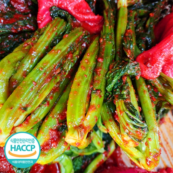 쌉쌀한맛이 일품인 돌산갓김치(푸)