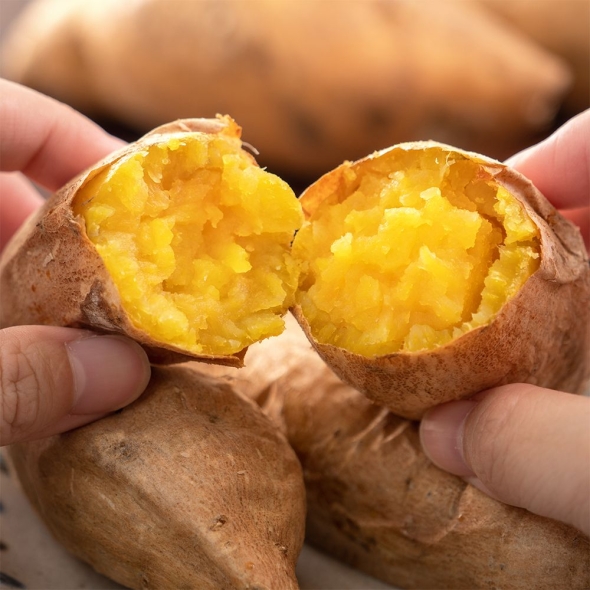 [보름데이] 베네팜 해남 세척 호박고구마 3kg/5kg (한입/중상/특상)