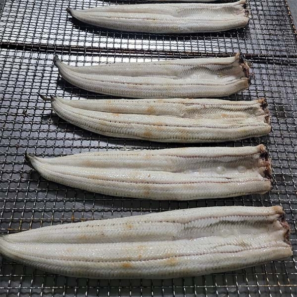 [신한카드 할인] 고창 풍천 장어 국내산