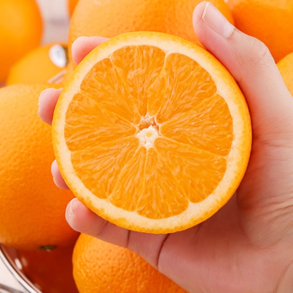 [자연속애] 호주 고당도 네이블 오렌지 10과/15과/20과/25과/30과내 (중과/개당200g내외)