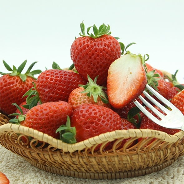 [오커캄스] 논산 설향 딸기