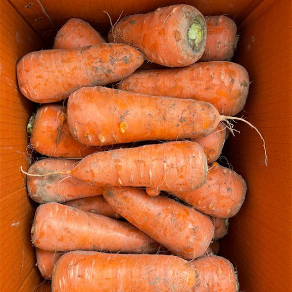 [만원의 행복] 달큰하고 아삭한 국내산 흙당근