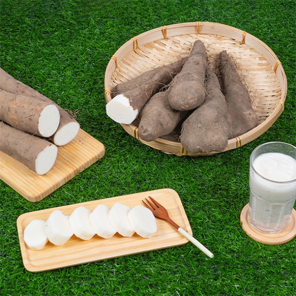 [만원의 행복] 비옥한 흙에서 비롯된 신선한 산마,장마(푸)