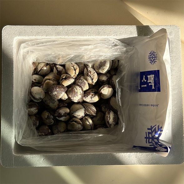 [보름데이] 남해 산지직송  새꼬막(푸)