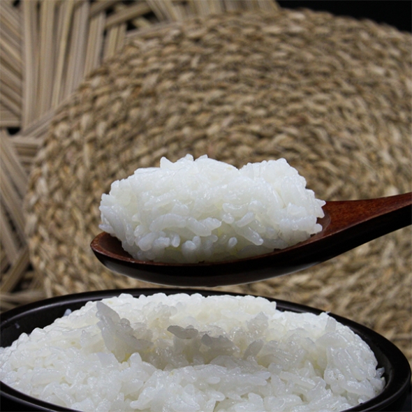 [백미캄스] 김포 금쌀 고시히카리 쌀 4kg 10kg