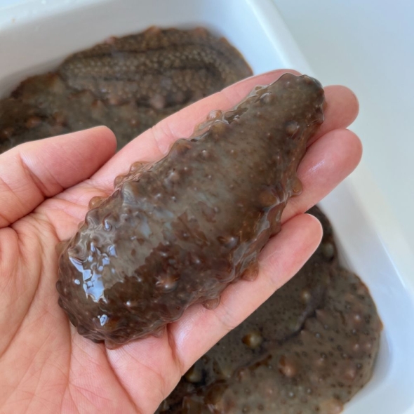 이순신수산 통영 해산 해녀가 채취한 제철 자연산 참 해삼 500g