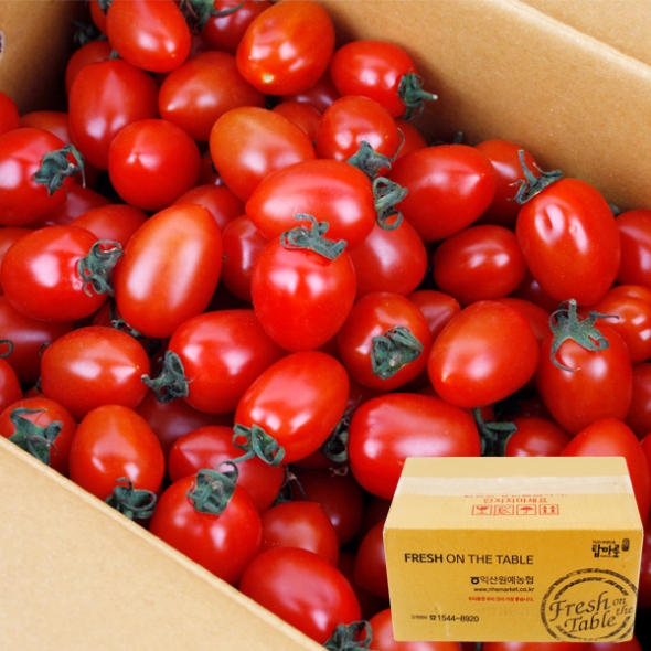  [농협공판장] 정성드린 대추방울토마토 2kg(특1-2번과)