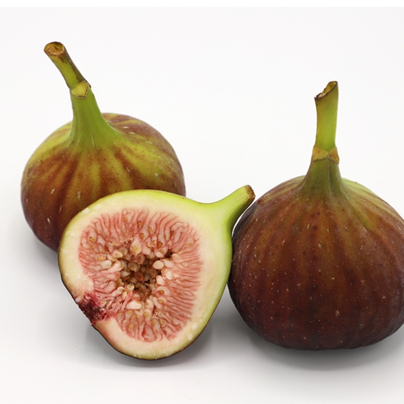 영암 홍무화과 400g/800g/1.6kg(최)