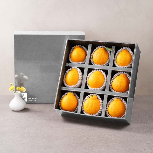 [특별할인] [흙이음] [6과수] 한라봉 명절 기프트 선물세트