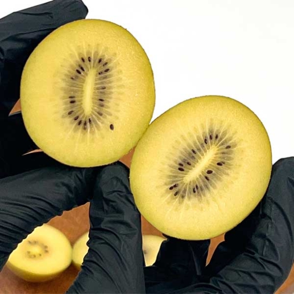 (산지) -20가지 비타민과 미네랄이 꽉~~[뉴질랜드 제스프리 골드키위]