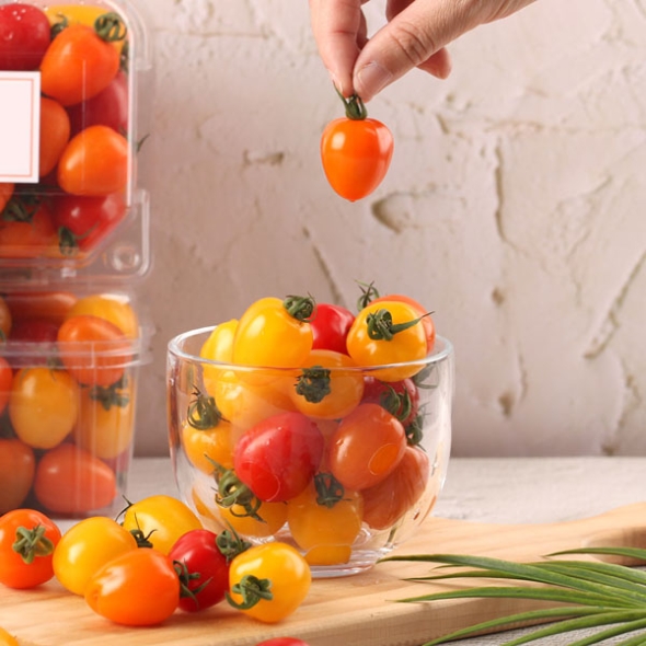 [GAP인증] 컬러 대추방울토마토 [1kg-5kg]