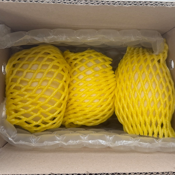 [오커최고] 설향 메론  신품종 멜론 1.5kg 3kg