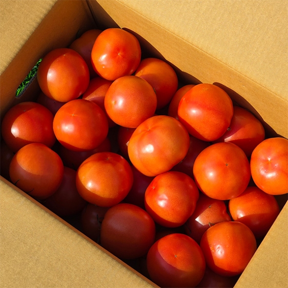 신선하고 건강한맛 완숙토마토