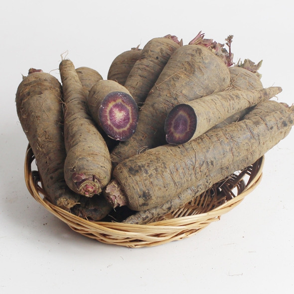 서산농부의 자색당근 1kg / 3kg / 5kg / 10kg 흙당근 비선별 비세척