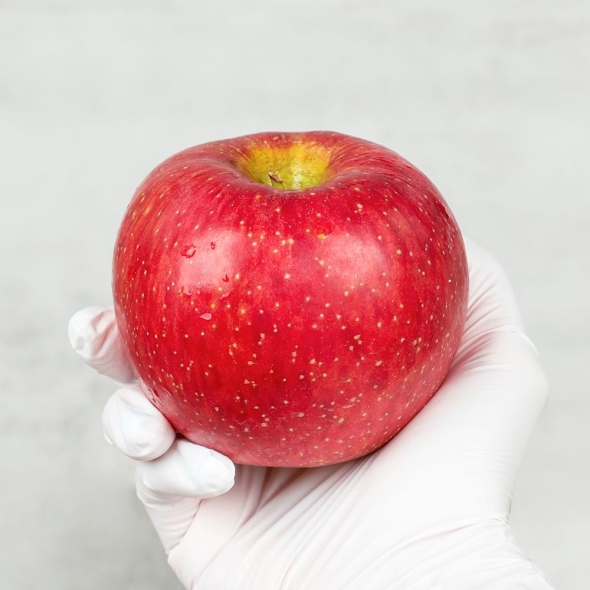 [백억] 아삭아삭 달콤달콤 명품 부사 사과