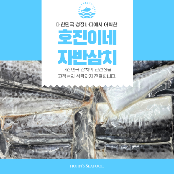 100% 수작업 손질 호진이네 국내산 자반 삼치 손질삼치 大 1마리~4마리