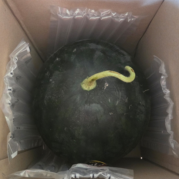 고당도 프리미엄 흑수박(푸)